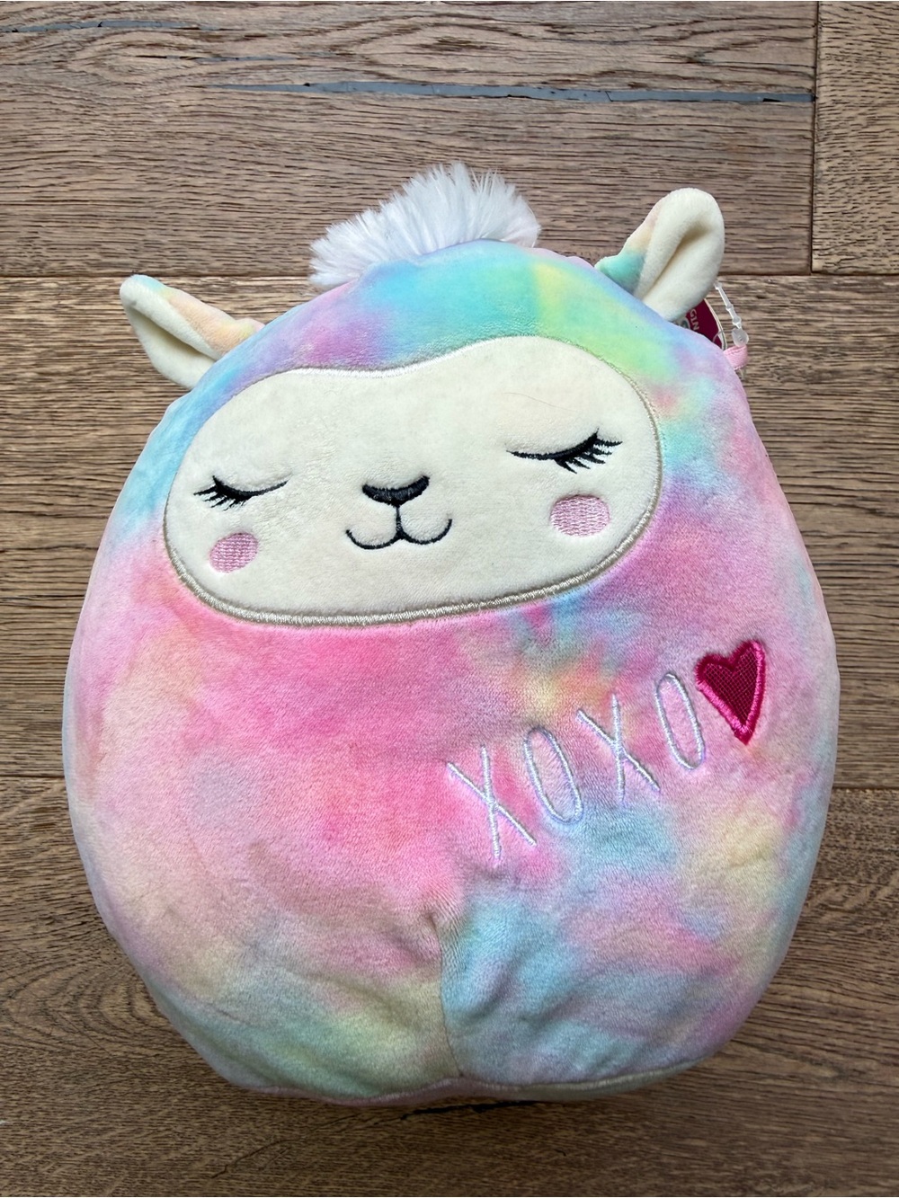 Squishmallows Leslie 8” and Dorina 5”